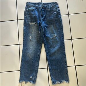 Distressed Blue Jeans Flamingo size M (6/8). Never worn